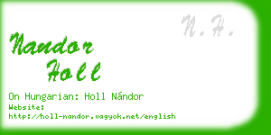 nandor holl business card